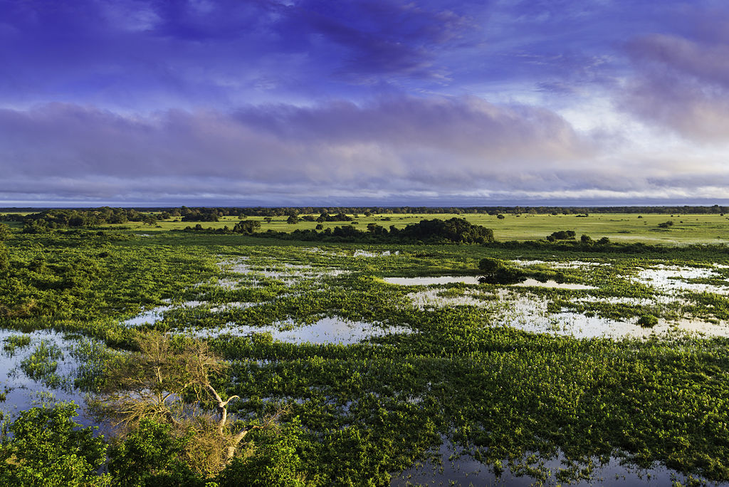 Viagem de luxo Viagem de luxo