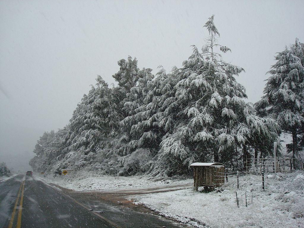 Lugares para Ver Neve no Brasil Lugares para Ver Neve no Brasil