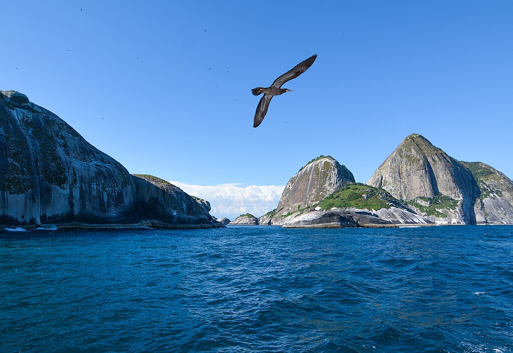1024px-Ilha_de_Alcatrazes 1024px Ilha de Alcatrazes