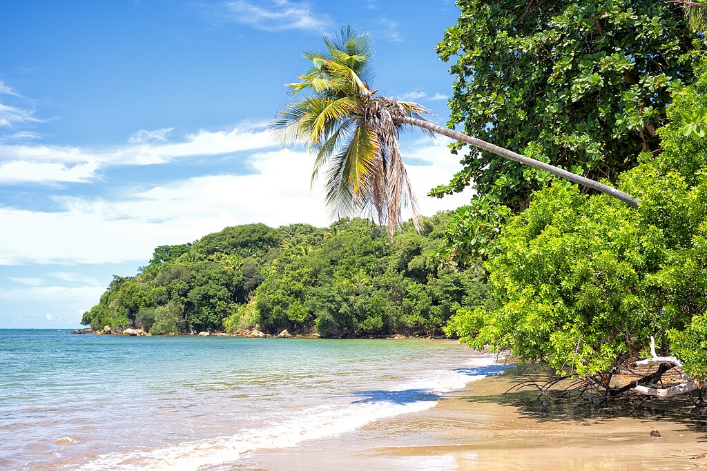 1024px-Ilha_de_Boipeba-3_(51017492561) 1024px Ilha de Boipeba 3 51017492561
